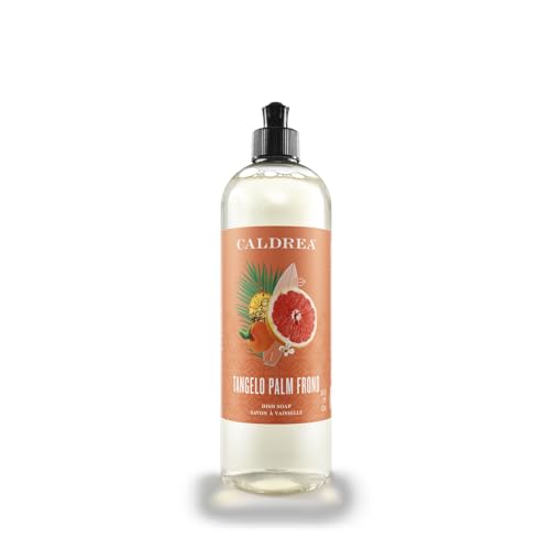 Image of Caldrea Dish Soap, Biodegradable Dishwashing Liquid made With Soap Bark And Aloe Vera, Tangelo Palm Frond Scent, 16 Oz