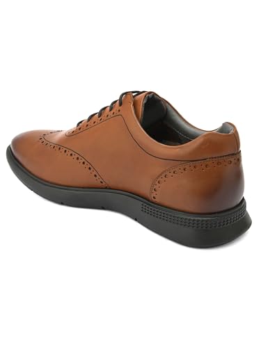 Image of San Frissco Mens Formal Shoes Textured Lace Up Brogues /Soft Cushioned Footbed with TPR Sole /Stylish, Comfortable, Trendy, Party, Outdoor Shoes for Office & College