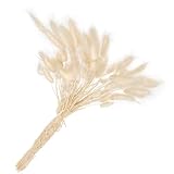 HOMSFOU 50 Piezas De Cola De Conejo Heno Pampas Altas Rellenos De Jarrón Decoración De Plantas Realistas Lagurus Naturales Secos Caña Alta Pluma De Mesa De Comedor Flor