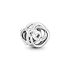 Pandora 791507C00 Breloque Family Circle Heart #1