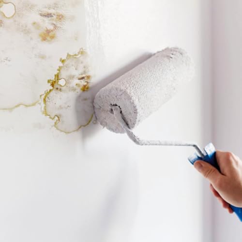 RONSEAL AMPWM750 Anti Mould Paint White Matt 750ml - 4