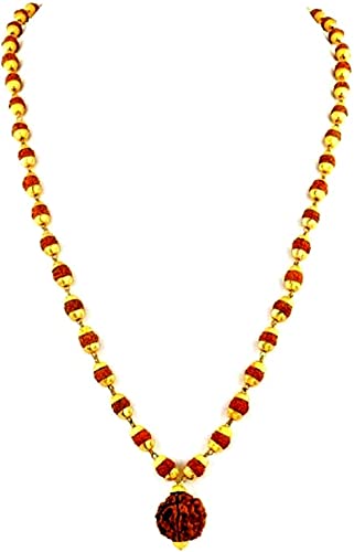 Buy Natural \u0026 Energized Punch Mukhi 