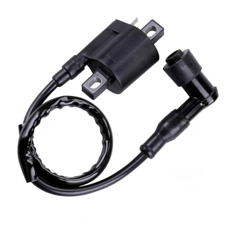 Titwaye Motorcycle Ignition Coil, Engine High Performance Ignition Coil, Spark Plug Wire Ignitor Line Kit, Fit for 125/150/250CC ATV, Dirt Bike and More (Black)