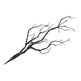 Sosoport