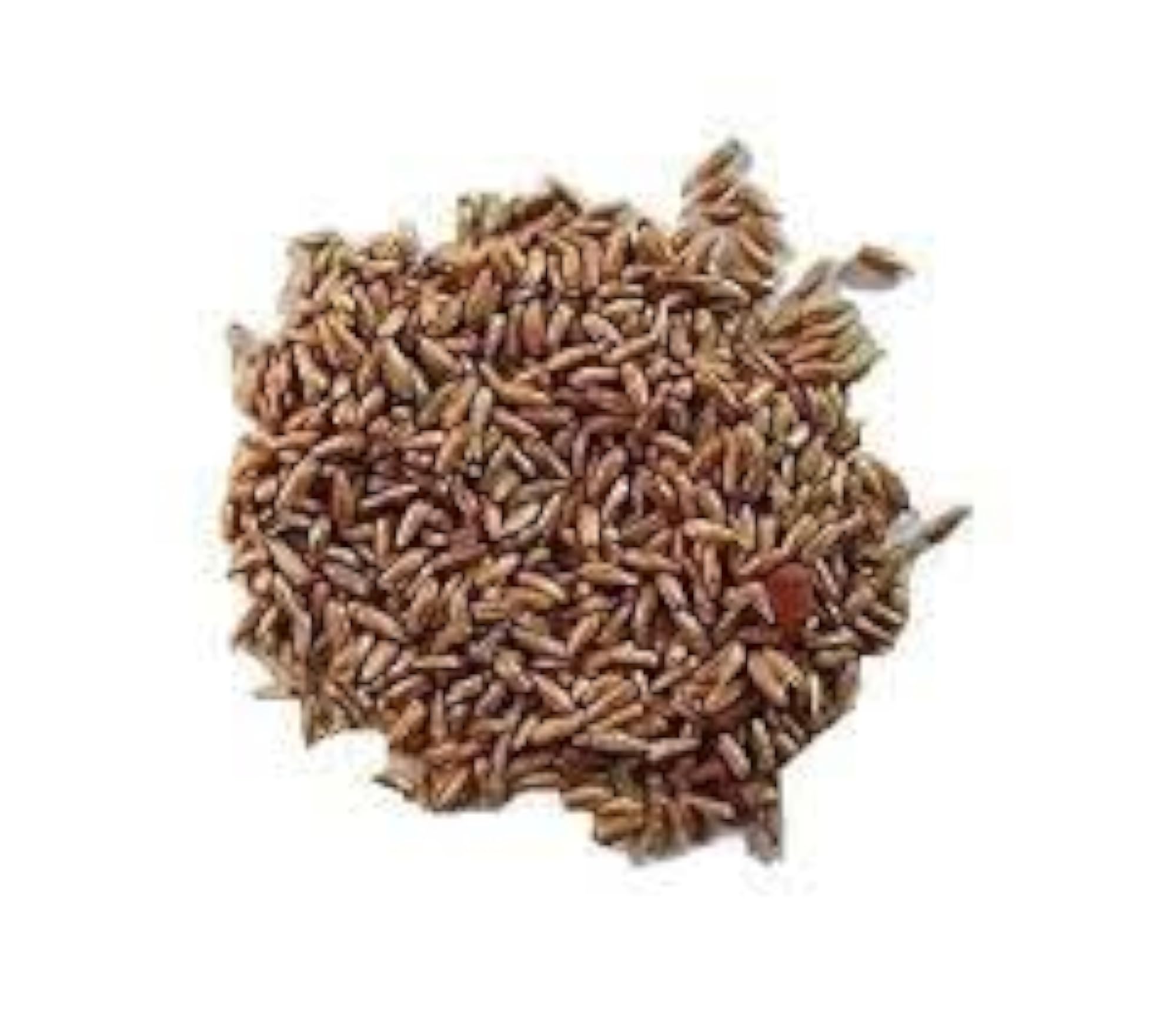 Chirchita Ke Beej Apamarg Seeds, 400 Gms