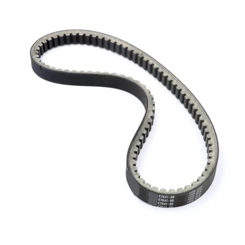 Correa de transmisión CVT 22,8 compatible con motor Mal Pas 250 2005-2006 2
