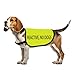 Reactive Dog Jacket Vest Reactive No Dogs Dog Slogan Vest Social Distancing Gift (Reactive No Dogs-Large)