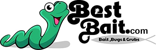 BESTBAIT 1000 Count Maggots Spikes Live Bait Ice Fishing Grub Worms Reptile