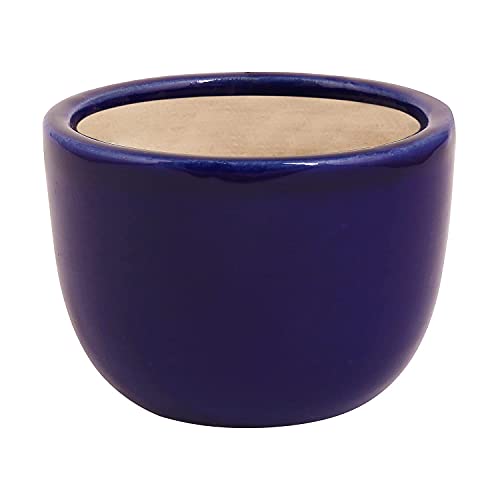 Image of Leafy Tales Urn Ceramic Pot, Multicolour, 3 Inch, 3 Pots, Urn Set 3 (Urn Set 3) Barrel Pot Ceramic, Aqua, 1pc (Barrel Aqua)