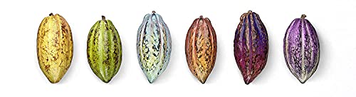 Marou Faiseurs De Chocolat Tien Giang Chocolate Bar, 2.8 Oz