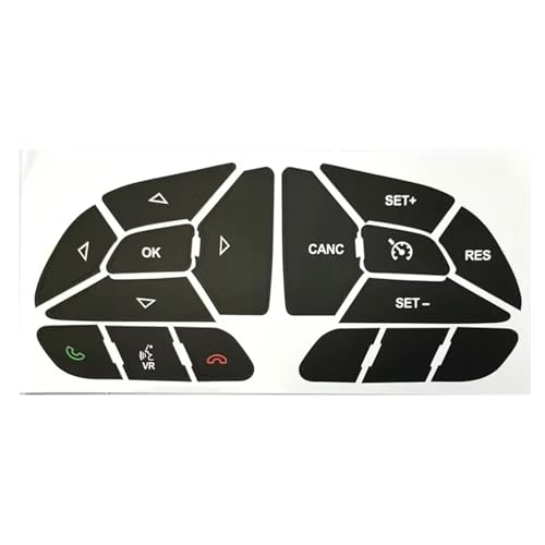 Boutons de voiture usés ? Kit autocollants noirs Dodge Charger 2016-2022
