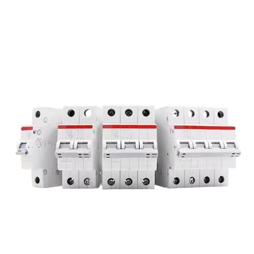 Disjoncteur miniature 2P 20A SJ200 pour la protection des circuits électriques domestiques