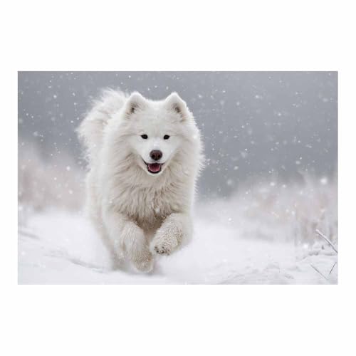 Toile chien dans la neige 80x120cm sans cadre peinture blanche moderne pour bureau
