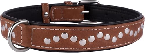 CollarDirect Hundehalsband mit Nieten, Leder, für kleine und mittelgroße Welpen, weich gepolstert, Braun/Schwarz (Braun, 28-33 cm)