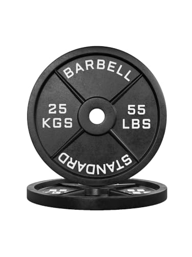 ATLETICA Iron Plates | Paar | Gusseisen Hantelscheiben | Ø 50 mm |...