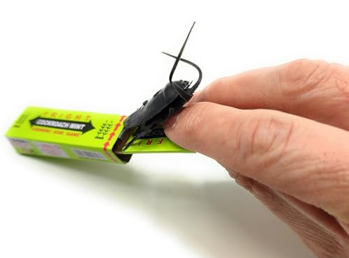 5 Scherzkaugummi Kakerlake Scherzartikel Prank Streich lachen Kinder erschrecken