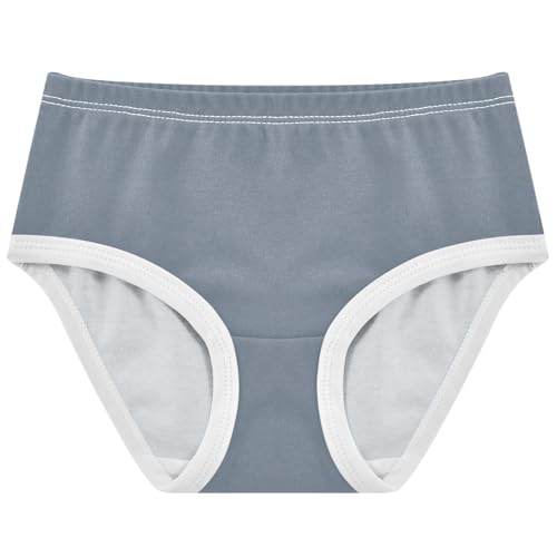 Joisal Florals Girls Underwear Toddlers 2t Cotton Cute Panties Girl Slate Gray Briefs Kids Undies