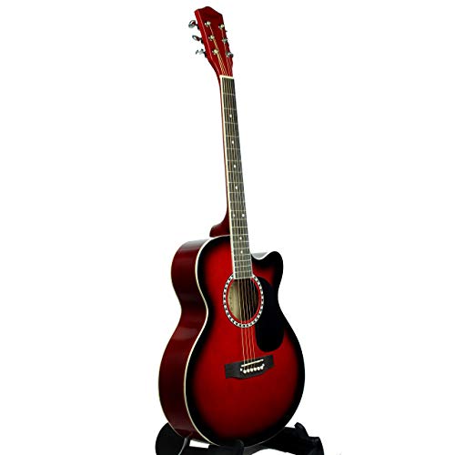 Image of DOLPHIN DT-100C SEMI ACOUSTIC GUITAR (ONLY GUITAR)