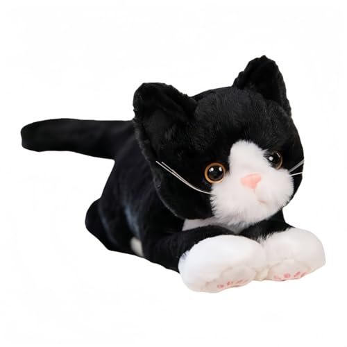 ALIVTAII L̂ʂݑTCY̔L̂ʂݕLN^[̖Dݎq̖̕tYl`菜av[g (L) [sAi]