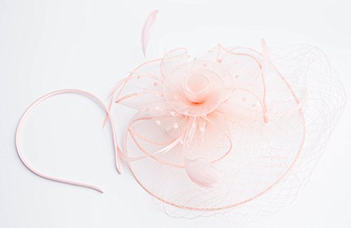 Fascinators Hats 20s 50s Hat Pillbox Hat Cocktail Tea Party Headwear with Veil for Girls and Women