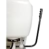 Chapin 60100 4 Gallon Backpack Sprayer for Lawn and Garden, Translucent