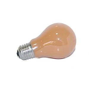 Gloeilamp Softone Flame Terracotta 100W E27 gloeilamp 100 Watt gloeilampen gloeilampen
