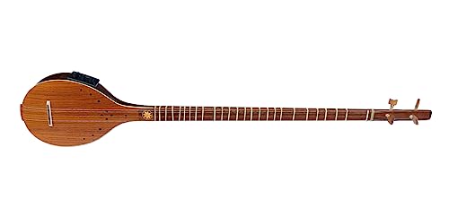 Professional Electric Acoustic Persian Setar, Sehtar With Equalizer String Musical Instrument ES-4