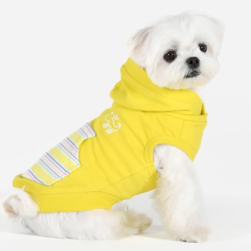 Puppia 2024 SS Apparel Yellow_PHIDEAUX  S TCY