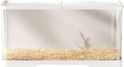 uuClub nX^[P[WA僔BA؂ȃS[fxA甠Ađ傫ANnX^[QAgݗĊȒPAϋvA萫At@bViuő傫TCYAS[fnX^[AS[fxAAnP[A঒ނȂǂ̏p (+