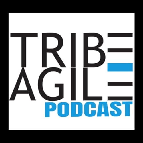 TRIBE Agile Podcast Podcast Por Tribe Agile arte de portada