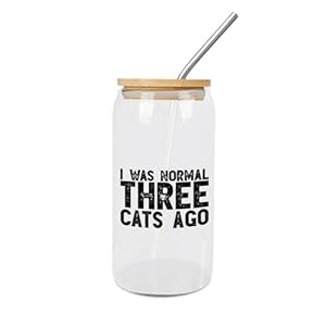 Yelolyio Katzenliebhaber Glasbecher mit Bambusdeckel 450ml