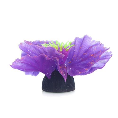 Patapalooza Fluoreszierende Wasserpflanzen: Hohe Helligkeit, Vielzahl von Farben, pflegeleicht, ideal für dekorative Aquarien und Wasserlandschaftsbau.