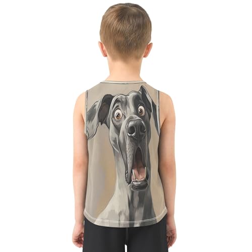 Baby Boys Tank Tops Dry-Fit Summer Boy Sleeveless Casual Vest Tees Sports Outdoor Breathable Outfit 3-15T3