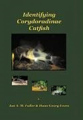 Identifying Corydoradine Catfish