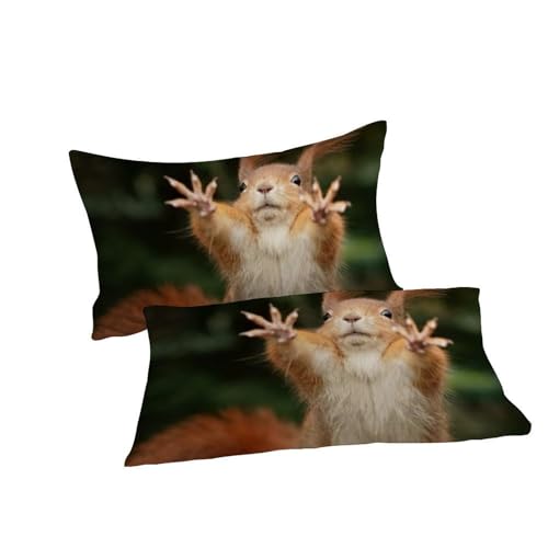 Housse de couette écureuil 200x200cm en microfibre avec 2 taies d'oreiller - 7