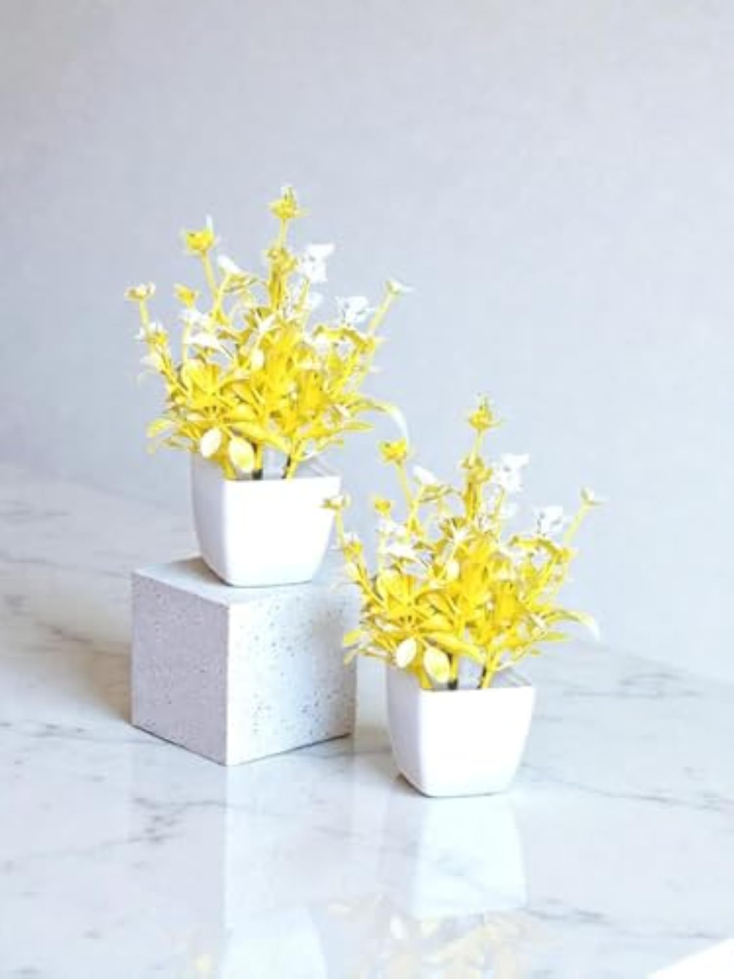 Set of 2 Decorative Yellow & White Flower Pots