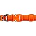 Ruffwear, Front Range Dog Collar, Adjustable Tubelok Webbing, Lightweight, Side Release Buckle, Aluminum V-Ring, Durable for Everyday Use, Blaze Orange, 14
