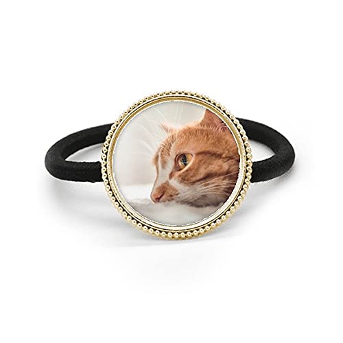 Serre-tête en métal argenté avec photo de chat et bandeau caoutchouc fin