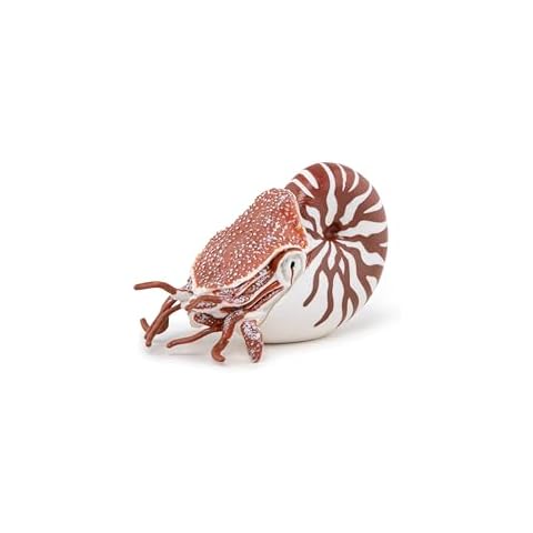 Papo Hand Painted Nautilus Marine Animal Figure Cover