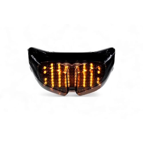 Luz trasera de freno y señal de giro para moto FZ1 2006-2015 y FZ8 6