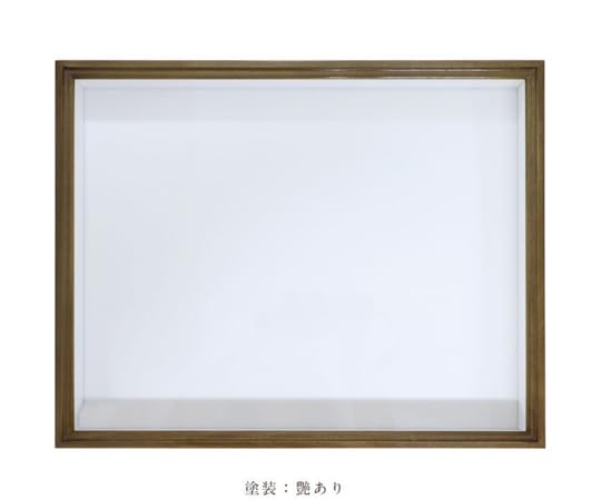 Amazon.co.jp: ティーウッド ほお材 N型 ドイツ箱 標本箱 艶有 UV