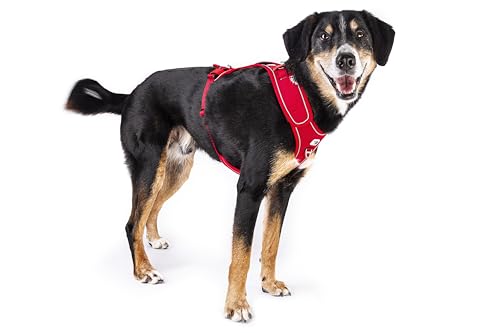 Belka Harness Adjustable Neck Black 2XL - 4