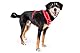 Belka Harness Adjustable Neck Red 3XL