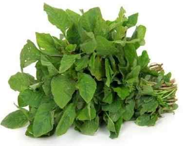 ARAI KEERAI/AMARANTHUS/THOTAGURA/CHAVLERI SAG SEEDS 5000 SEEDS 5 GRAMS (B087BCDMKQ) Amazon Price History, Amazon Price Tracker