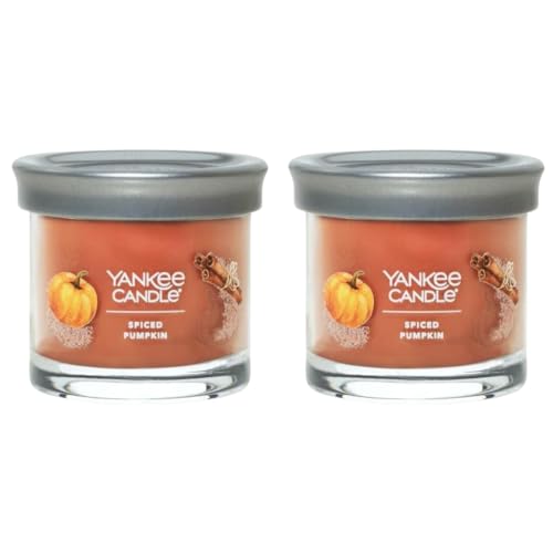 Yankee Candle Small Tumbler Scented Single Wick Jar Candle, Spice...
