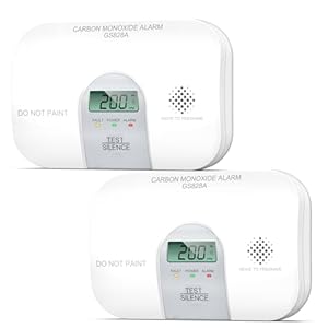 Siterwell Carbon Monoxide Detectors, 10 Year Product Life Portable Carbon Monoxide Detector with LCD Digital Display and Sound Warning, ETL Listed, Travel Carbon Monoxide Detector for Home, 2-Pack