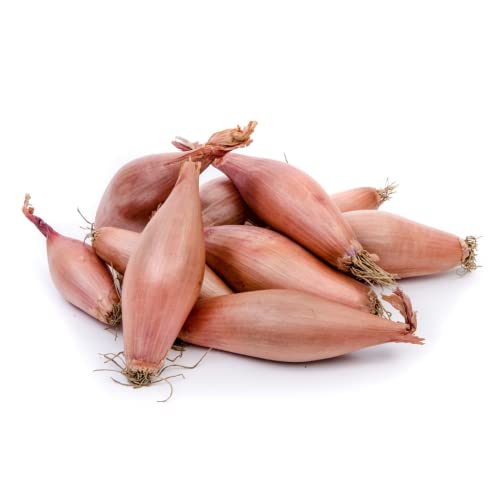 Schalotten | Französische Gourmet Schalotten (500 g)
