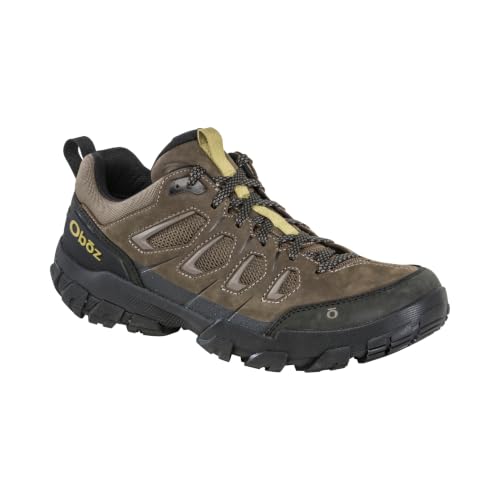Image of Oboz Men's Sawtooth X Low Hiking Shoe