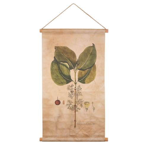 WANDERLUST DECO Lienzo pergamino de tela impresa 44x73x2,5