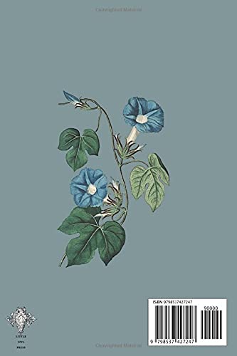 Vintage Morning Glory Journal: A Beautiful 6 x 9 Lined Journal Notebook featuring Vintage Botanical Illustrations - Thumbnail 2